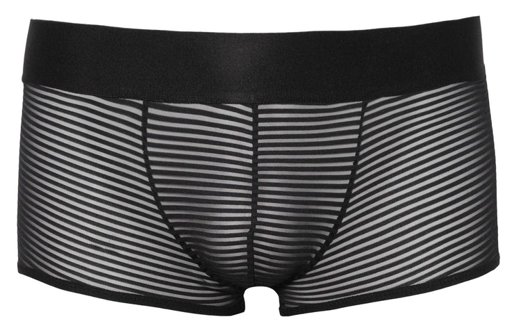 Bracli Perlseo Tokyo Boxer