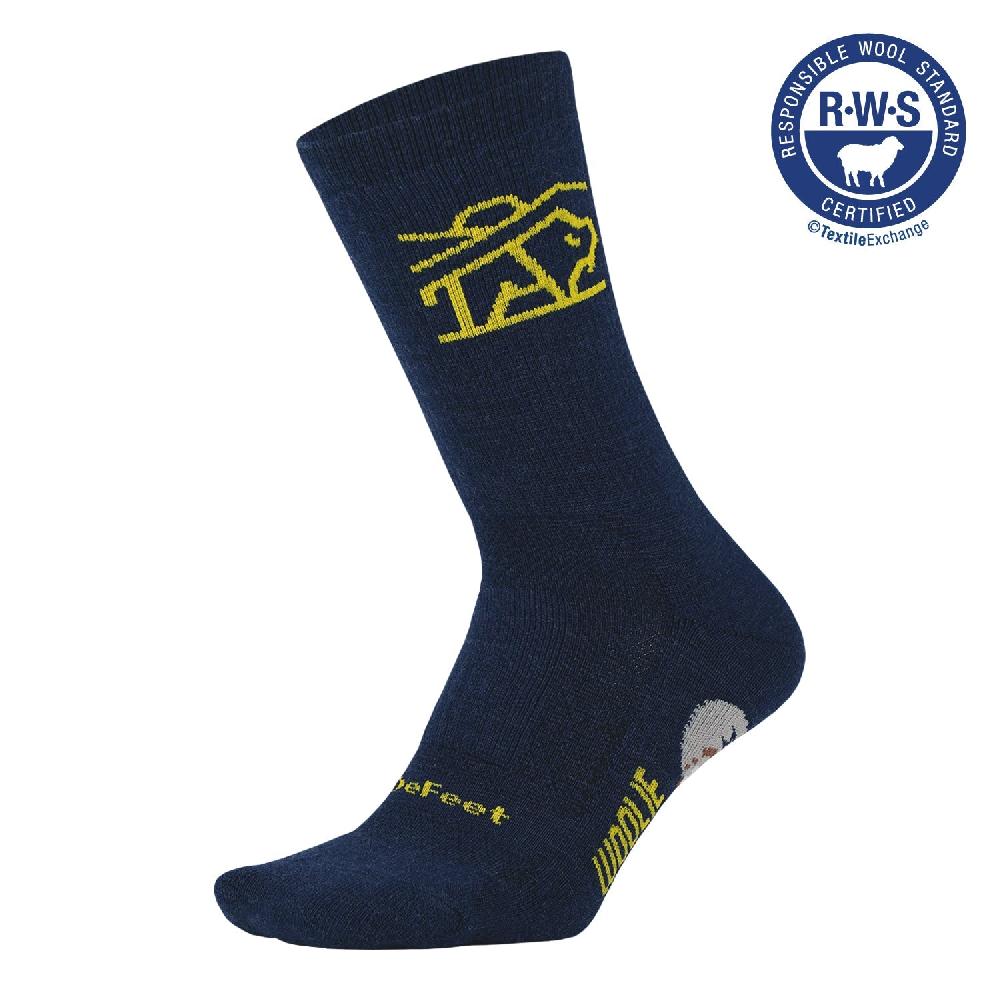 Defeet Woolie Boolie 6" National Parks Socks