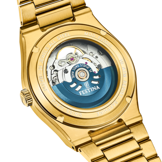 Festina RELOJ DE HOMBRE FESTINA SWISS MADE RIVÉ F20062/1 PLATEADO Descuentos del mes