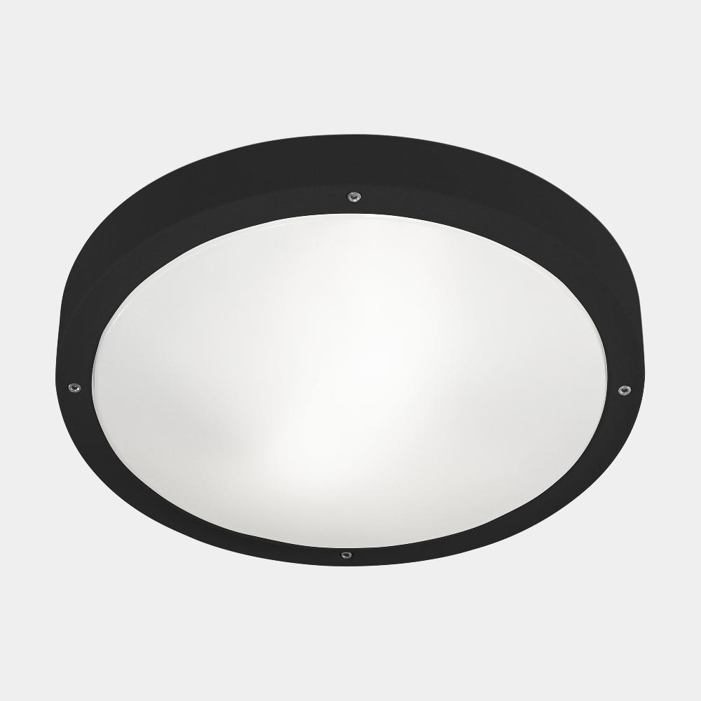 leds c4 Basic Precios de Black Friday