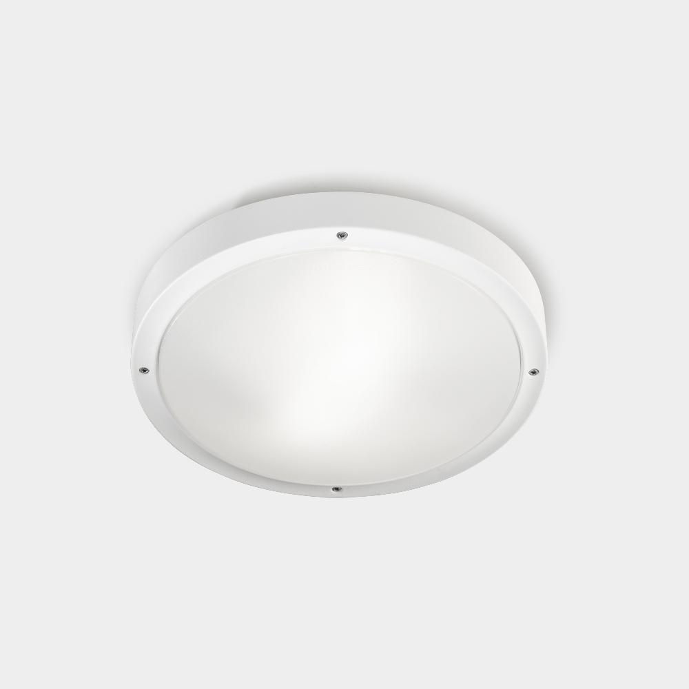 leds c4 Basic Precios de Black Friday