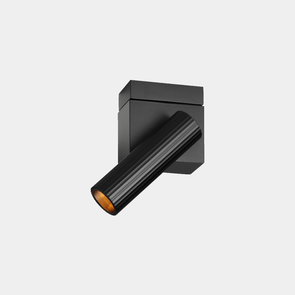 leds c4 Prolix Spotlight Últimos 2 días