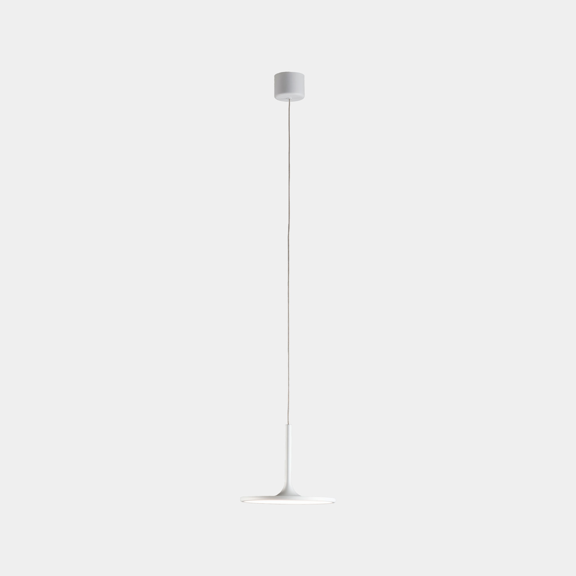 leds c4 Net