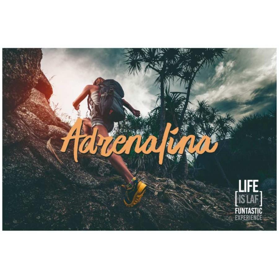 live is laf Box Pura Adrenalina Venta caliente