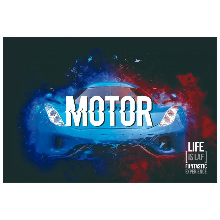 live is laf Box Piloto de Carreras Gran oferta