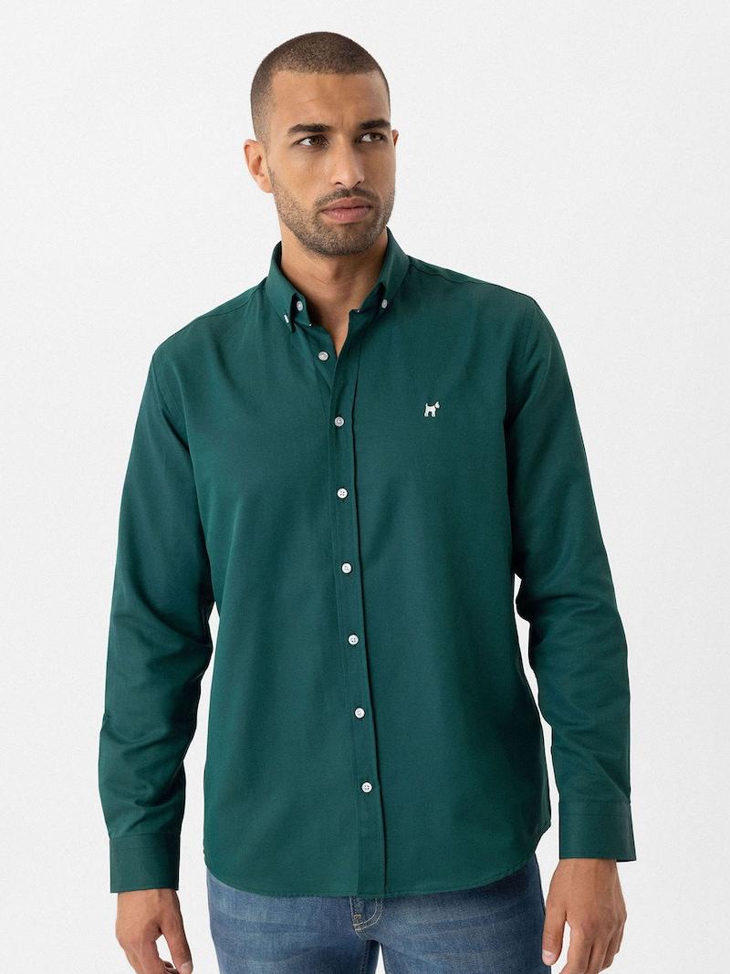 sinned x about you Ajuste regular Camisa Williot en Verde Oferta especial de fábrica