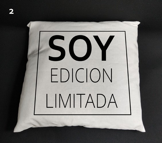 susana escribano Funda cojín 50×50 – Color Blanco. Cojin con frase En línea