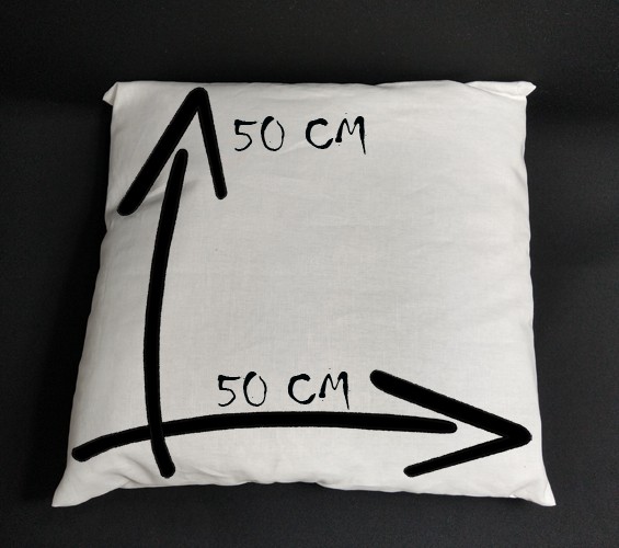 susana escribano Funda cojín 50×50 – Color Blanco. Cojin con frase En línea