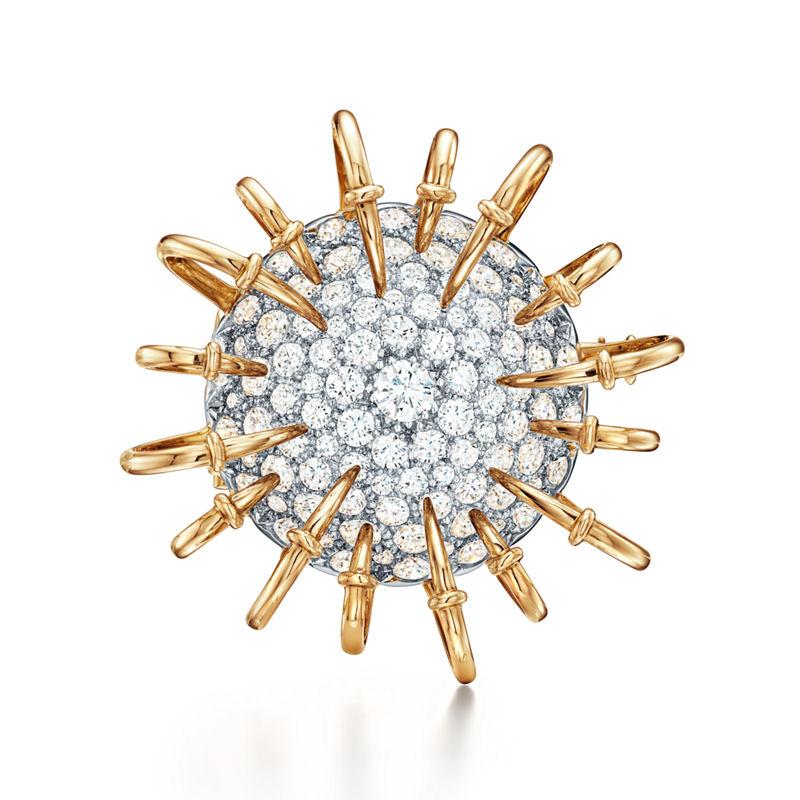 Tiffany & Co. Tiffany & Co. Schlumberger Broche Apollo en oro amarillo y platino con diamantes