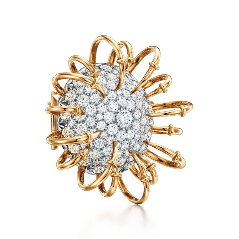 Tiffany & Co. Tiffany & Co. Schlumberger Broche Apollo en oro amarillo y platino con diamantes Rebajas de fin de temporada