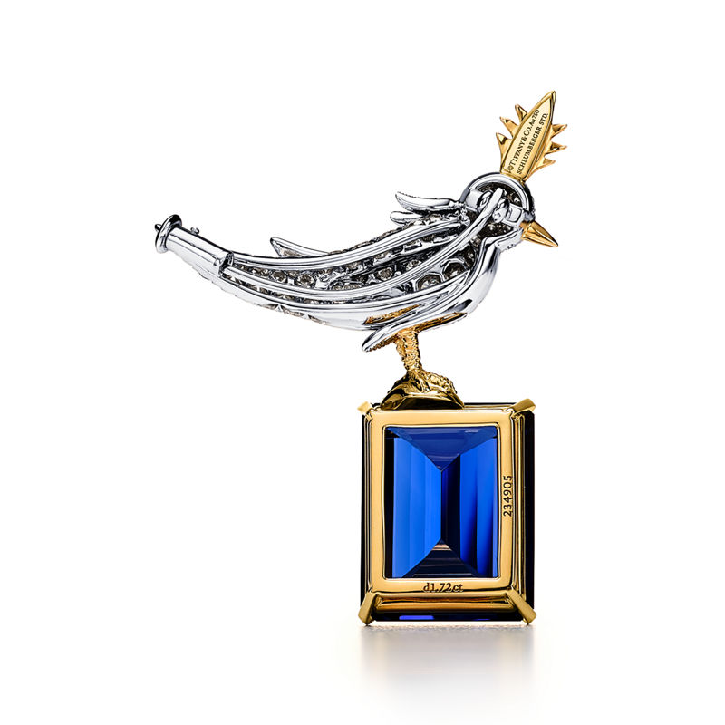 Tiffany & Co. Schlumberger by Tiffany & Co.™ Broche Bird on a Rock en oro amarillo y platino Liquidación