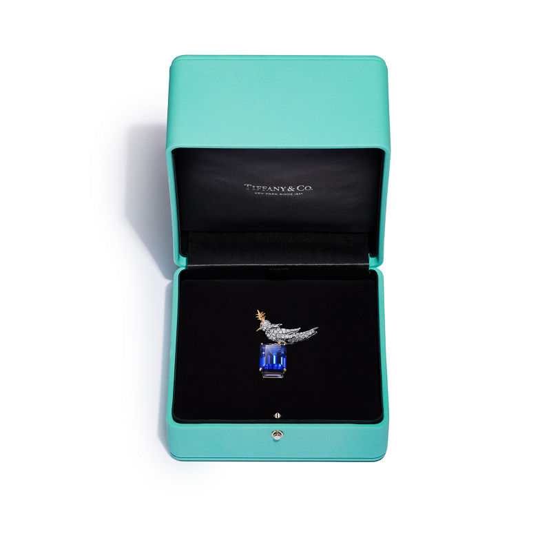 Tiffany & Co. Schlumberger by Tiffany & Co.™ Broche Bird on a Rock en oro amarillo y platino Liquidación