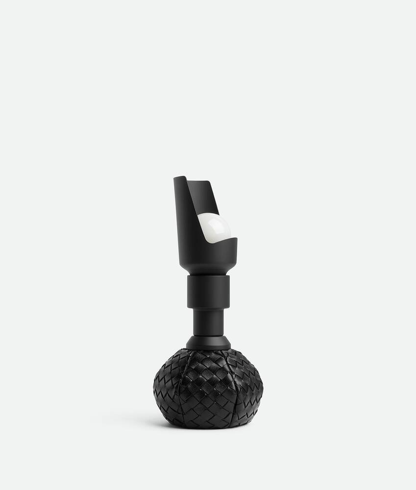 Bottega Veneta Model 600 pequeño