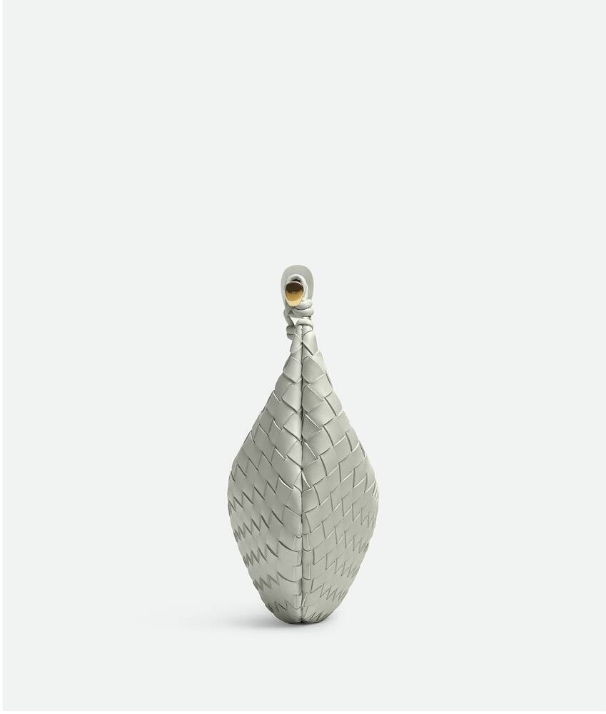 Bottega Veneta Sardine 2025