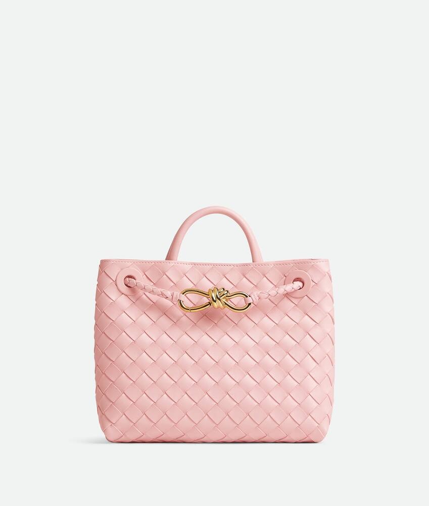 Bottega Veneta Bolso Andiamo pequeño