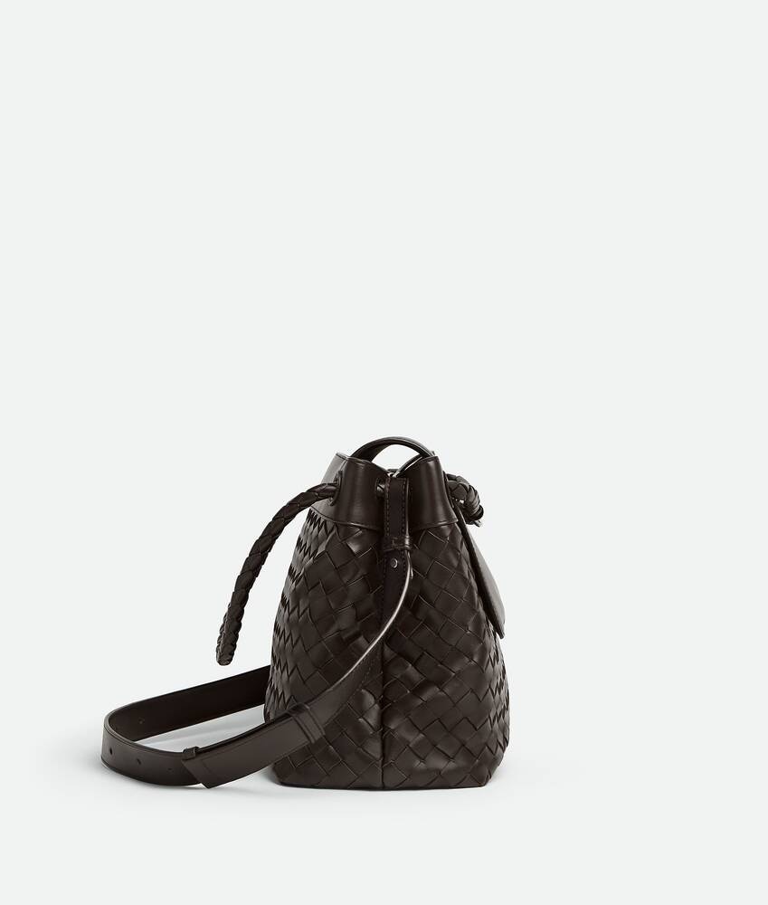 Bottega Veneta Bolso messenger Andiamo Solo hoy