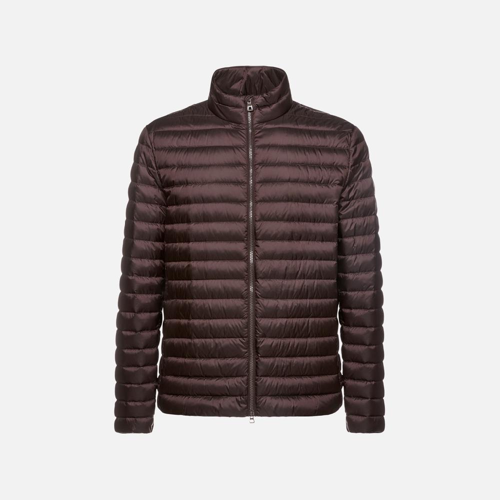 Geox warrens hombre M4625DT3146F6227 Plumífero corto