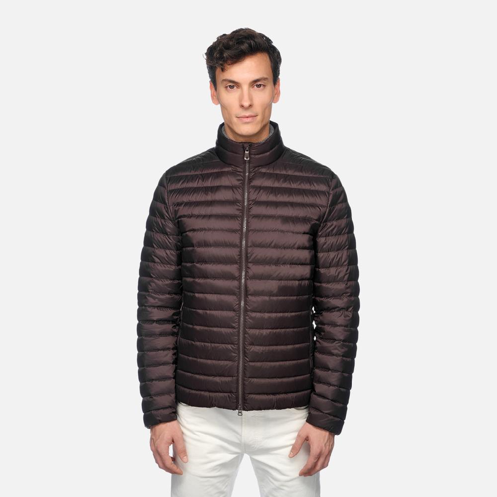 Geox warrens hombre M4625DT3146F6227 Plumífero corto Precios de Black Friday