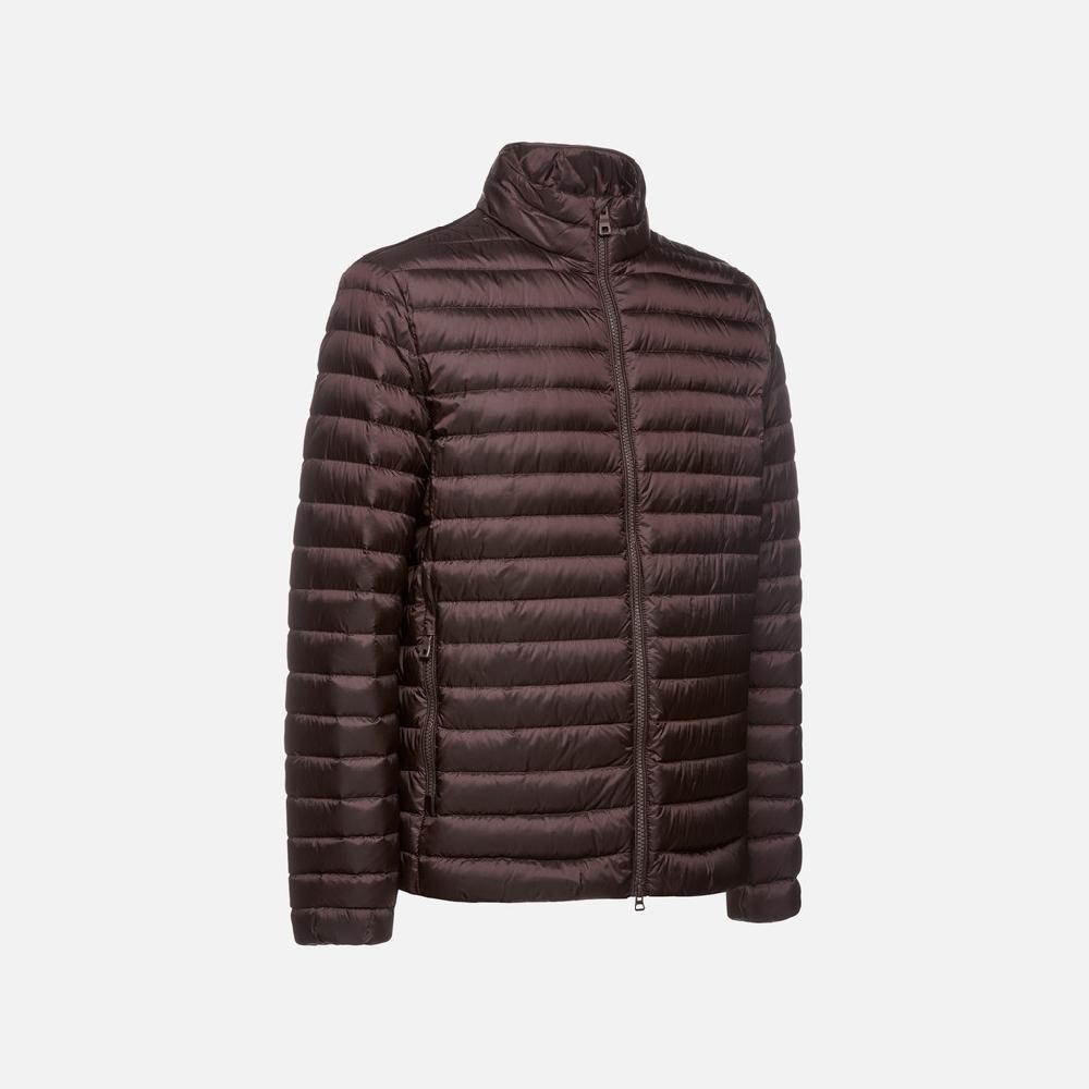 Geox warrens hombre M4625DT3146F6227 Plumífero corto Precios de Black Friday